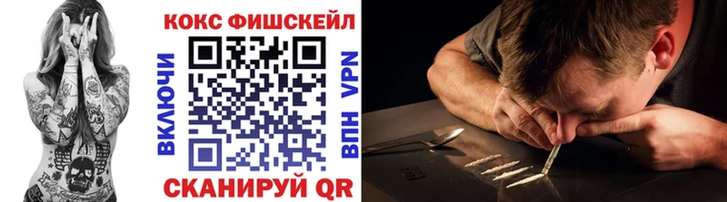 Кокаин Fish Scale  магазин    Новоалтайск 