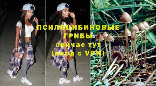 каннабис Магас
