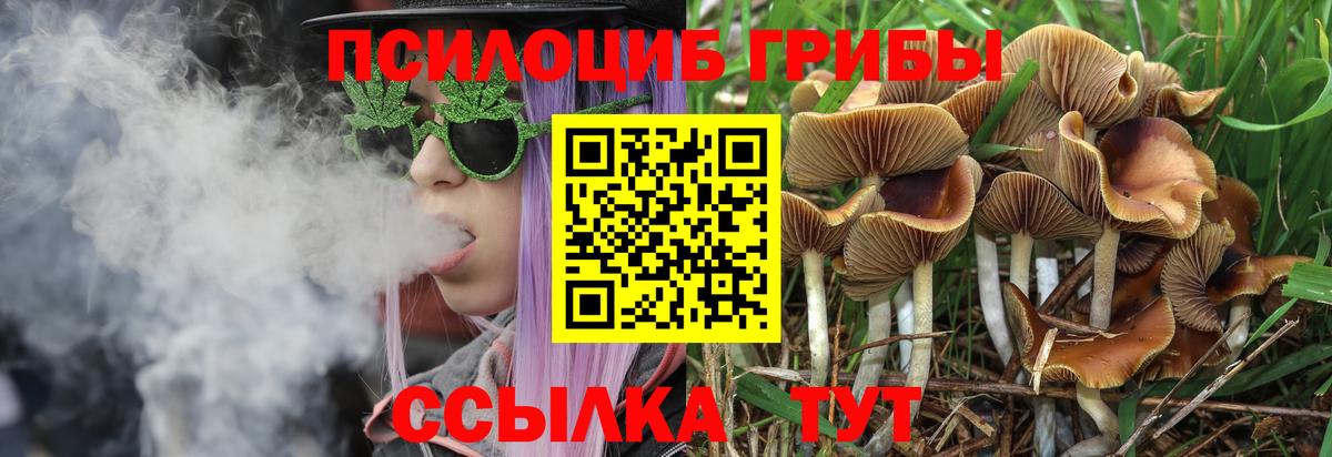 Галлюциногенные грибы мухоморы Новоалтайск
