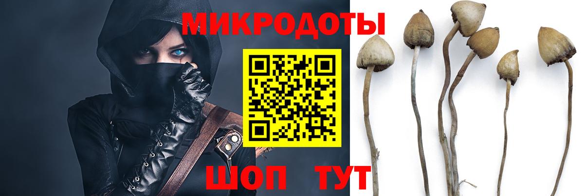 Псилоцибиновые грибы прущие грибы  Вход с VPN  Новоалтайск 